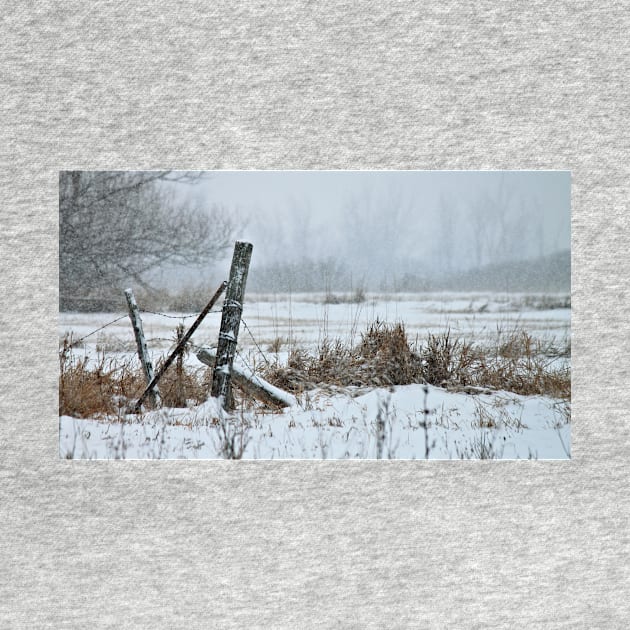 Fencepost in Winter by photoclique